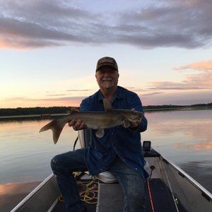 Meet your Posher, Jack